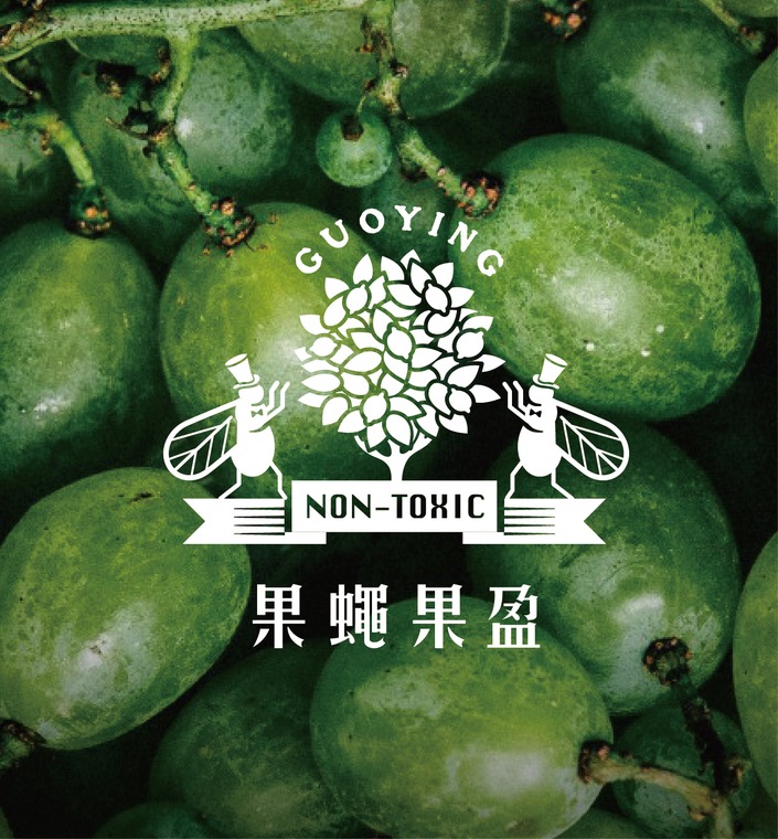 果蠅果盈 Guoying