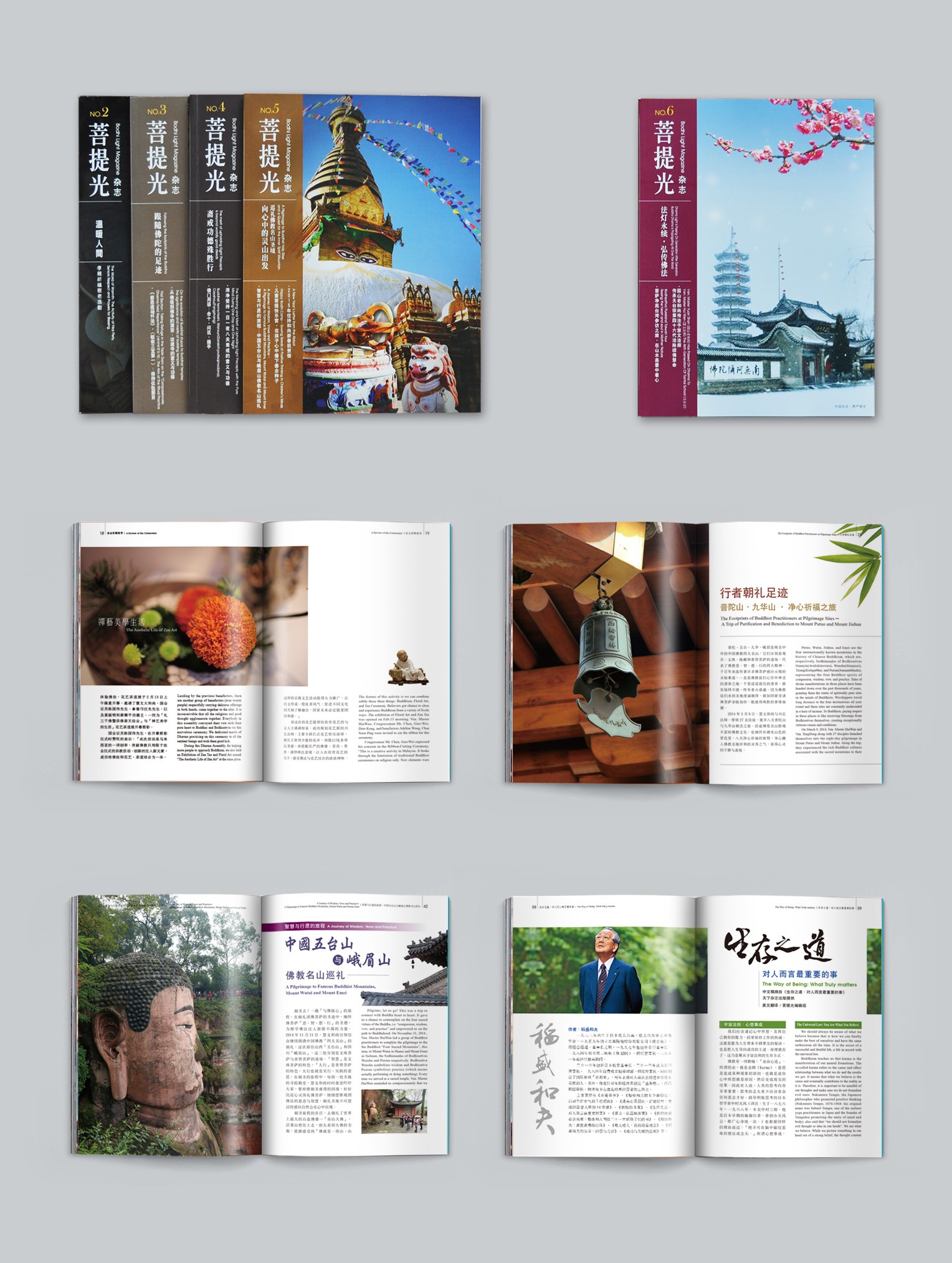 菩提光刊物_書刊