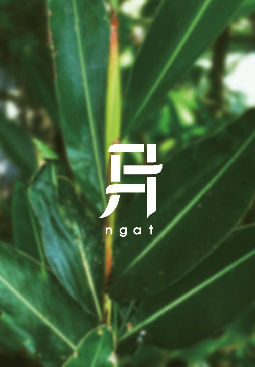 桃布里 NGAT