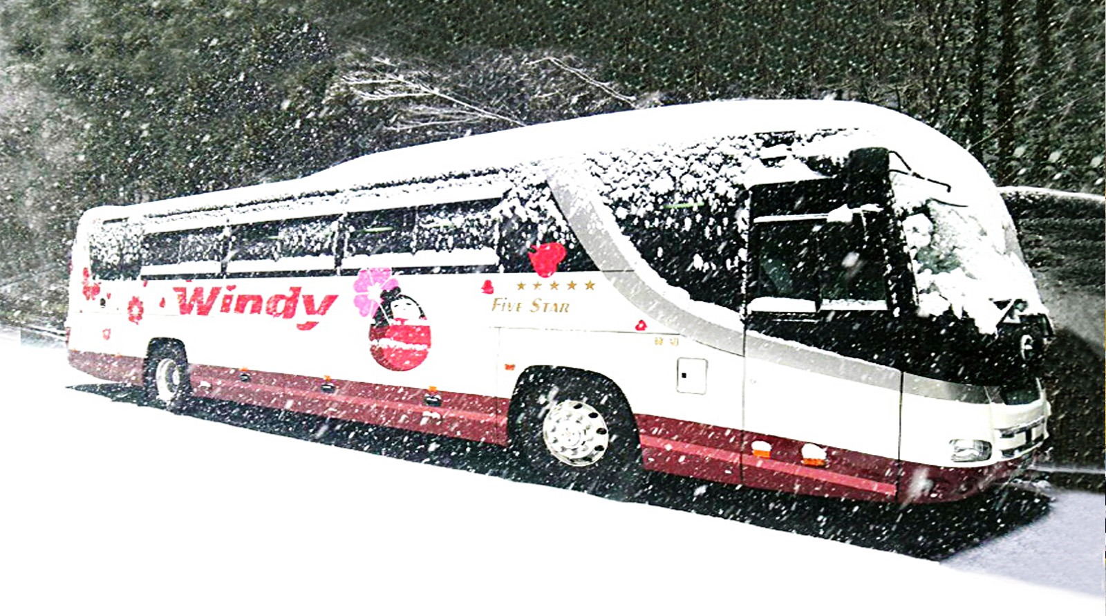 日本 Windy觀光株式會社_網站